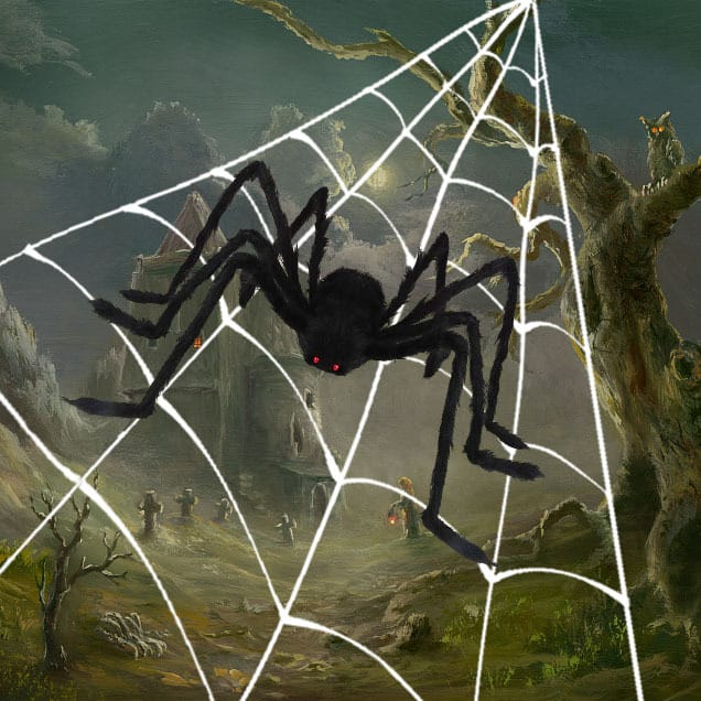 Halloween Decor Giant Realistic Spider Web Halloween Decoration – Indoor & Outdoor